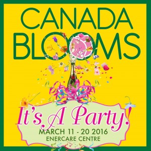 Canada Blooms @ Enercare Centre, Exhibition Place